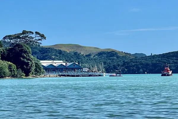 Raglan wharf and pontoon from the east in 2023