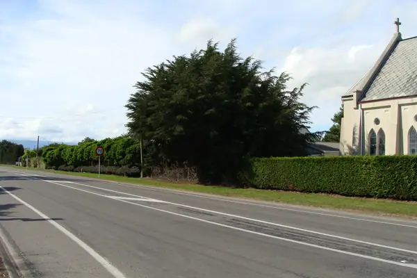 Martinborough Branch 01