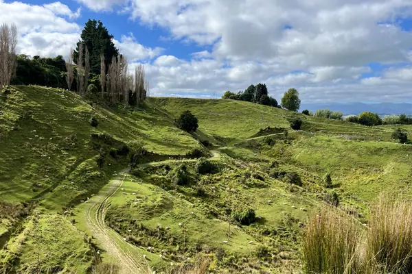 Beautiful farm, Manawatu Scenic Route, Manawatu-Whanganui Region, North Island, New Zealand