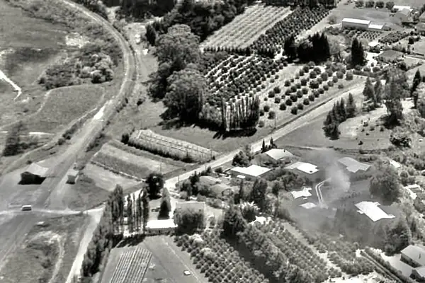 1980 Ōmokoroa railway station